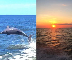 St. George Island Sunset and Dolphin Trips